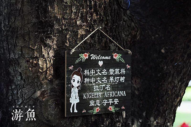 逃出林中村